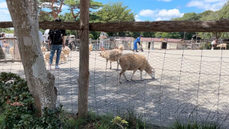 犬と那須旅行、南ヶ丘牧場