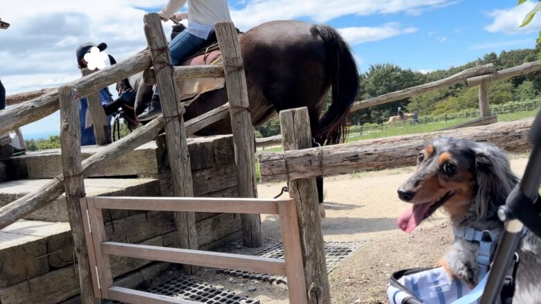 犬と那須旅行、南ヶ丘牧場