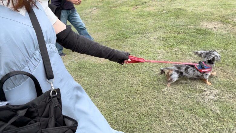 犬と那須旅行、千本松牧場