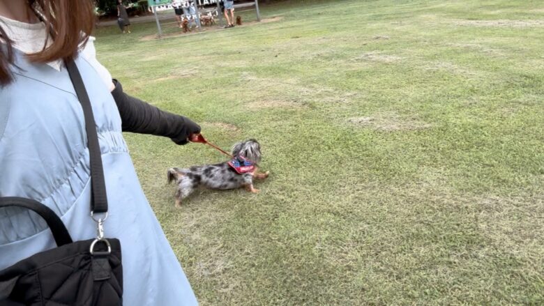 犬と那須旅行、千本松牧場