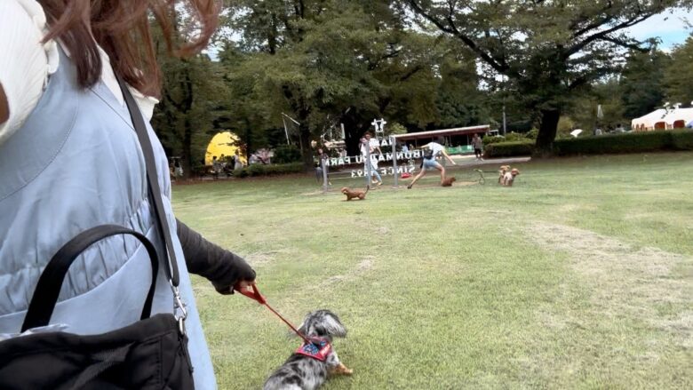 犬と那須旅行、千本松牧場