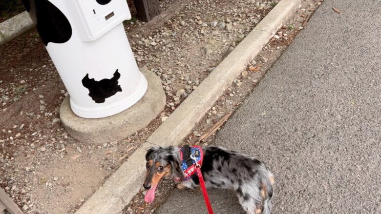 犬と那須旅行、千本松牧場