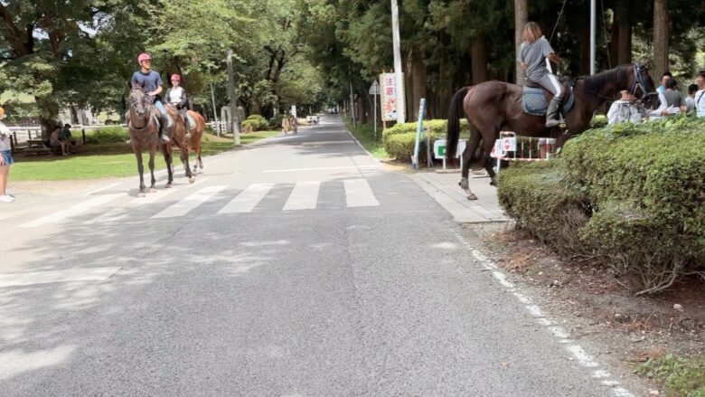 犬と那須旅行、千本松牧場