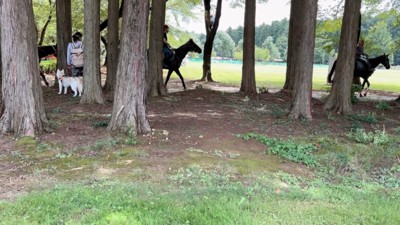 犬と那須旅行、千本松牧場