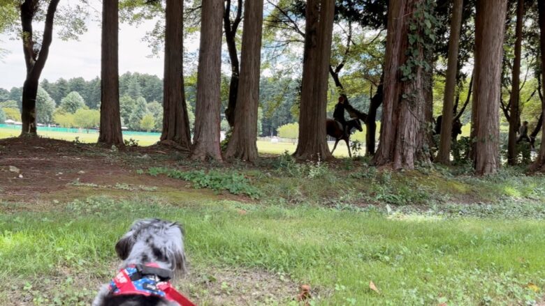 犬と那須旅行、千本松牧場