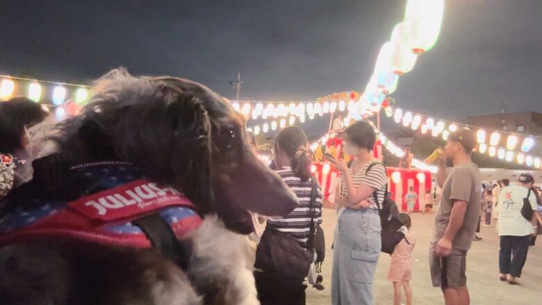 犬とお祭り