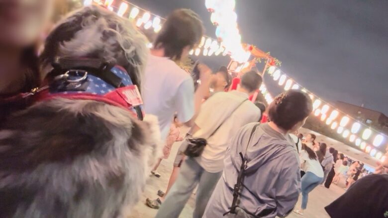 犬とお祭り