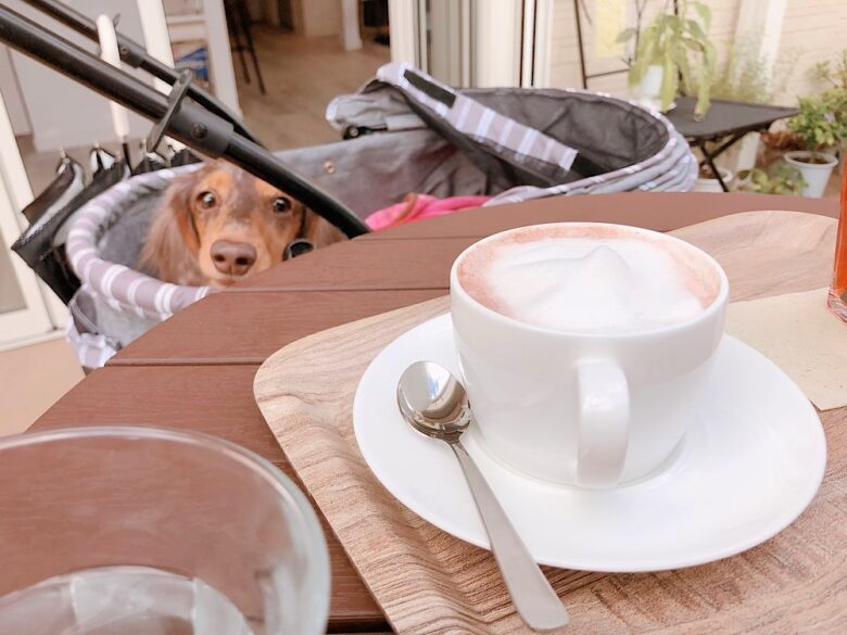 犬とカフェ