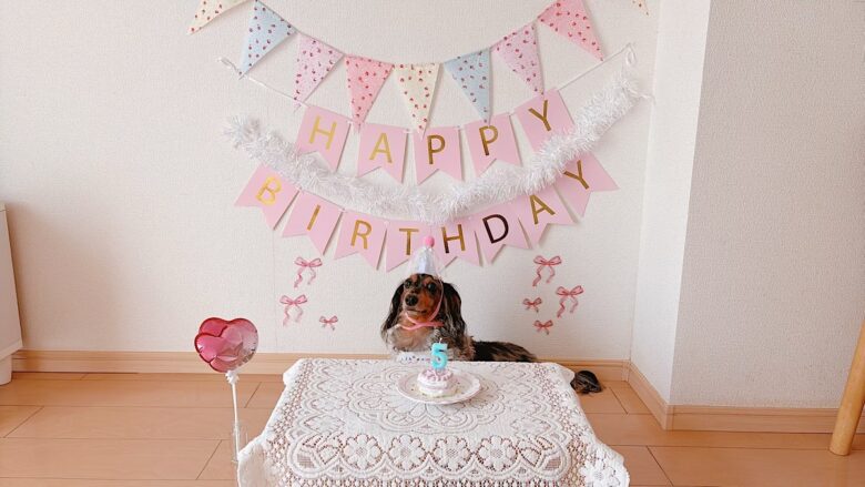 犬の誕生日パーティー