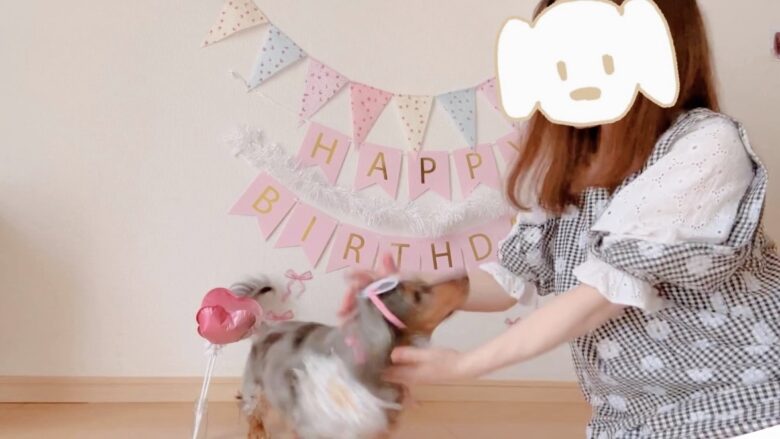 犬の誕生日パーティー