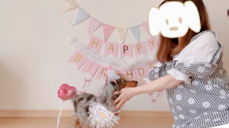 犬の誕生日パーティー