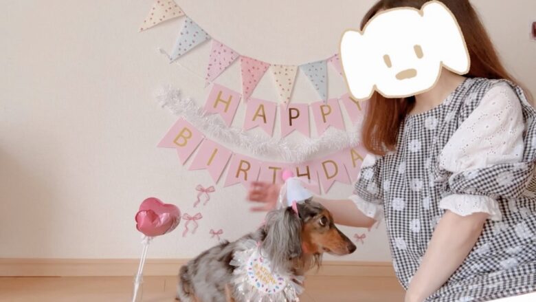 犬の誕生日パーティー