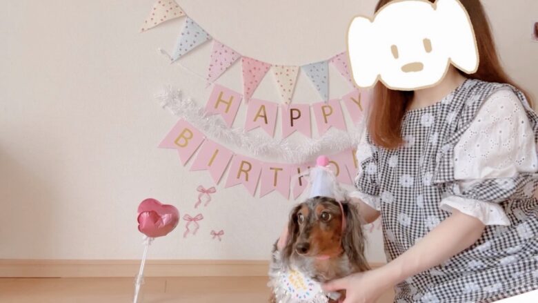 犬の誕生日パーティー