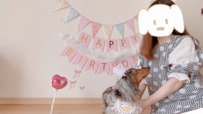 犬の誕生日パーティー