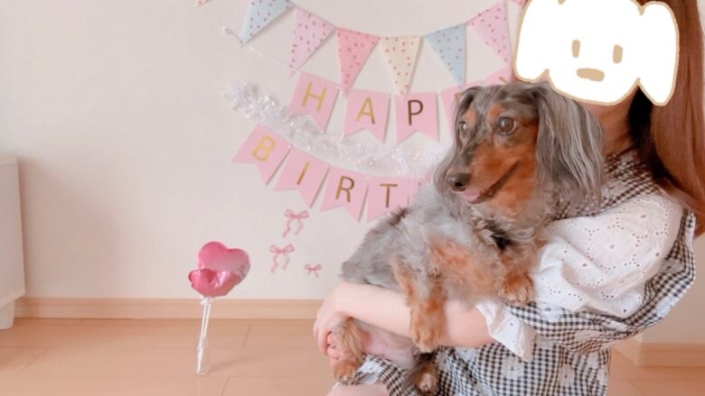 犬の誕生日パーティー