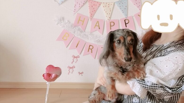 犬の誕生日パーティー