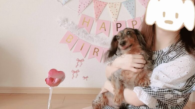 犬の誕生日パーティー