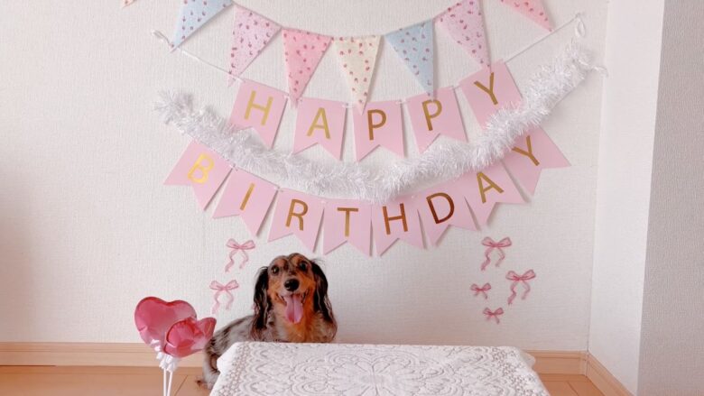 犬の誕生日パーティー