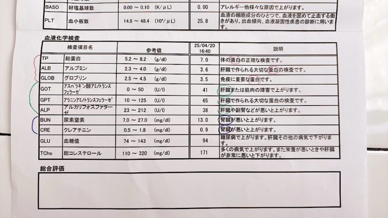 犬の健康診断