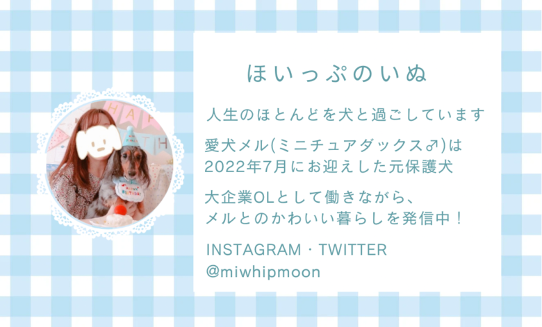 プロフィール
