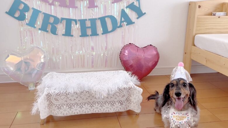 犬の誕生日パーティー
