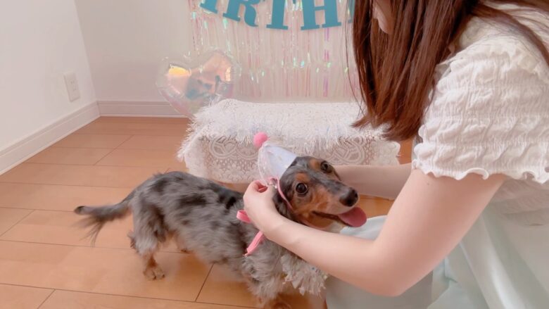 犬の誕生日パーティー