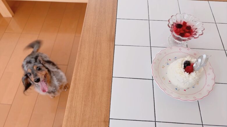 犬用ケーキの作り方